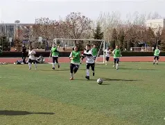 MLS大战进行时,各队实力抗衡,冠军赛积磁如火如荼! MLS大战进行时,各队实力抗衡,冠军赛积磁如火如荼!