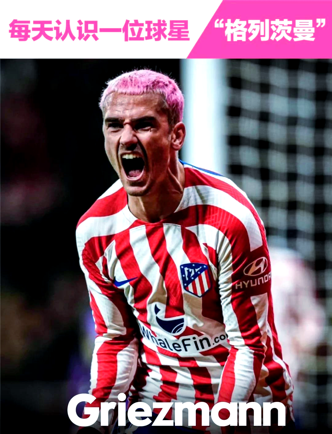 包含大有作为！欧洲足球比赛舞台上的新星球队的词条