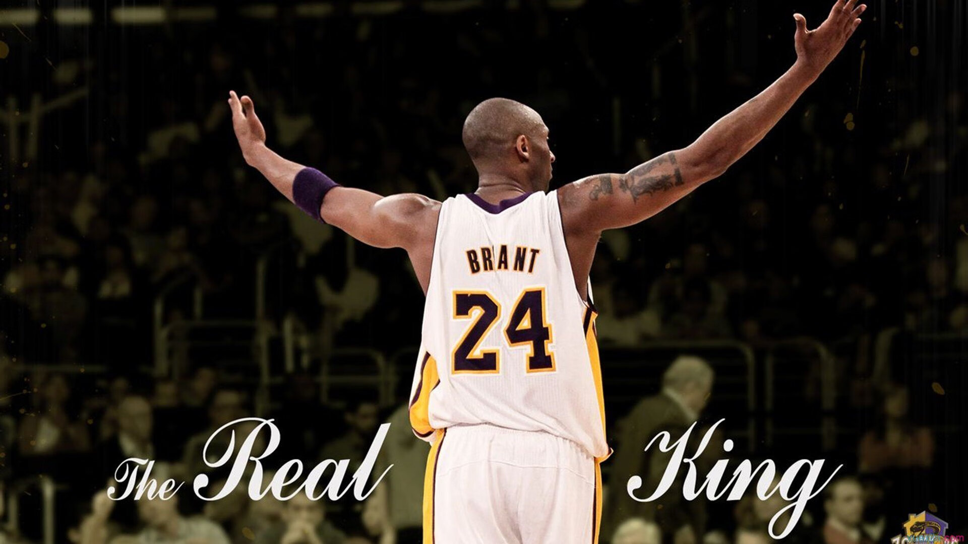 王者降临，美国轻取波兰背后的战术交响曲与卡瓦哈尔的颠覆性艺术